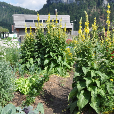 BahnhofsgartenBezau_01