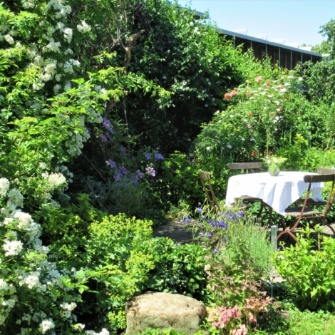 Wehinger Waltraud (5)