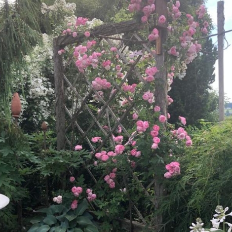 Wetzel-Hohenweiler_03