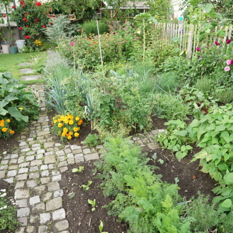 Buechel-Elvira-u.-Walter-Feldkirch-R-9