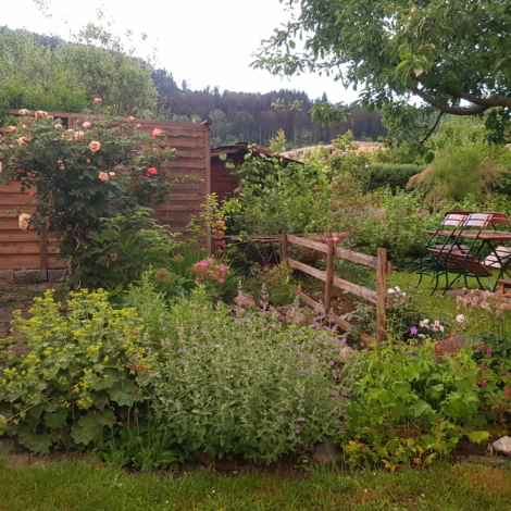 Burtscher_Feldkirch (2)