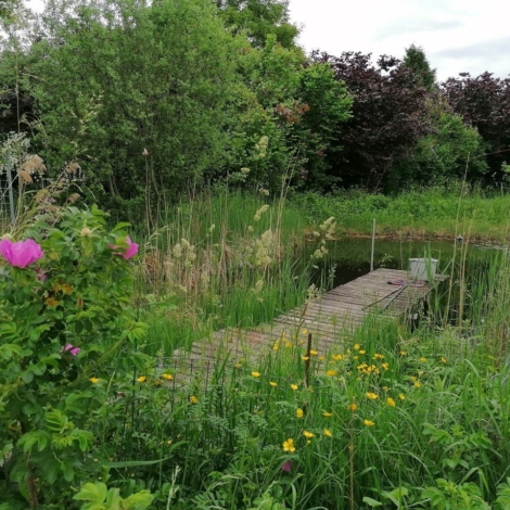 Ines u. Klaus_Wurzinger_Lustenau_Mariahilfstraße 4 (2)