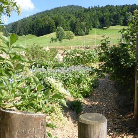 Garten Eden, Leo Simma, Hittisau 6